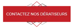 Contactez un dératisateur